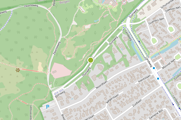 Ambulance-melding op Duinweg, Bergen NH op 31 mei, kaart-overzicht